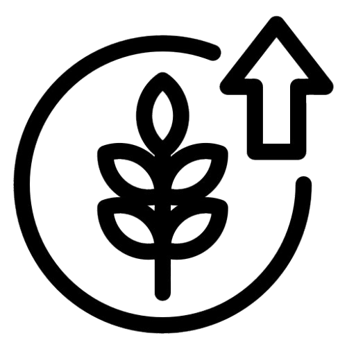 WhatsApp_Image_2026-02-14_at_11.13.22_AM-removebg-preview